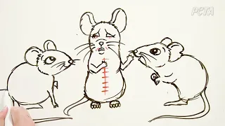 Draw My Life - Laboratory mice - Italian narration