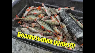 Эта безмотылка КОСИТ! РАЗДАЧА рыбы. Зимняя рыбалка 2021 на окуня. Рыбалка на мормышку.