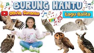Lagu anak populer 2023‼️Burung Hantu - artis Olivia Susanto #laguanak #oliviasusanto #burunghantu