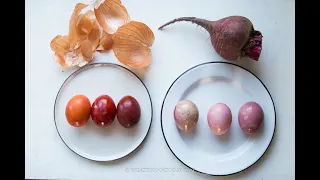 How to make red-shelled eggs (with natural dyes or food coloring)