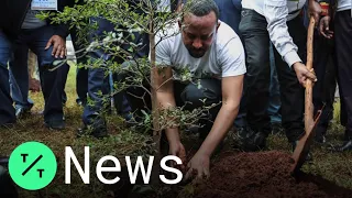 Ethiopians Plant 353 Million Trees in One Day to Set World Record