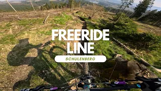 Freeride Line 2024 Bikepark Racepark Schulenberg Harz full run POV RAW