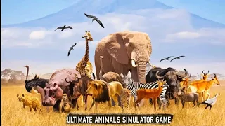 wildlife game|" Ultimate Savana animals Simulator game| Lion, The King of jungle, Best Animals game.