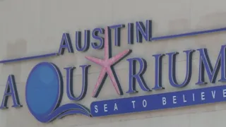 Austin Aquarium faces lawsuit after girl's parents claim she was bitten by an un-vaccinated lemur