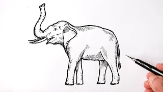 How to draw an Elephant | Very easy | Drawing lessons