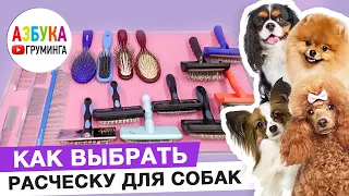 Расчески для собак, какую выбрать для ухода за шерстью