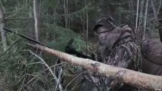 Hunting Black Bear in New Brunswick