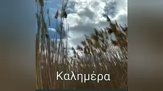 καλημέρες στους αγρούς 🌾