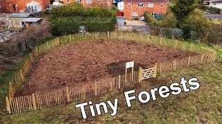 Tiny Forests - Nature in Urban Spaces