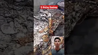 Jika Dilihat Semakin Dekat, Patung Si Malin Kundang Begitu Nyata? #viral #malinkundang#durhaka