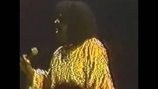 Sylvester (Grateful, Live)