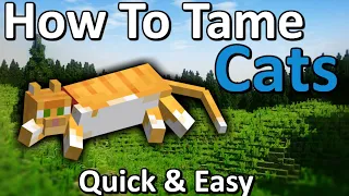 How to Tame a Cat Minecraft  | Quick & Easy!