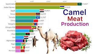 World’s Largest Camel Meat Producing Countries 1961 - 2024