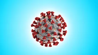 If I catch Coronavirus, the video ends - Go To a Party