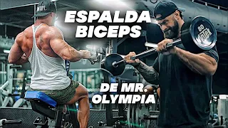 Hice la RUTINA DE ESPALDA Y BICEPS Mr. Olympia de Chris Bumstead (Martes) gym topz