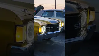 unique paint job on this chevelle vert