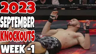 MMA & Boxing Knockouts I September  2023 Week 1