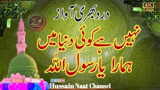 Nahin Hy koi duniya Main Hamara Ya RasoolAllah(PBUH) Naat | Hussaini Naat Channel