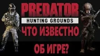 Predator  Hunting Grounds   ЧТО ИЗВЕСТНО ОБ ИГРЕ