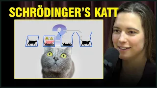 Fysiker Inga Strümke Forklarer Schrødingers Katt