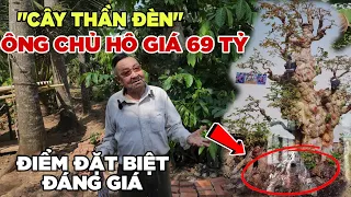 Trực Tiếp "Cây Thần Đen" Hô Giá 69 Tỷ Độc Nhất Miền Tây