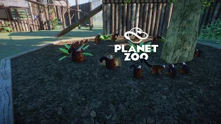 Planet Zoo S1 E15 - Рыжий вари