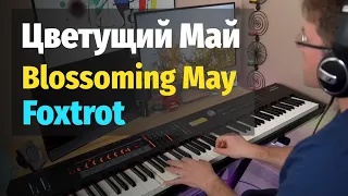 Цветущий Май (Полонский) - Пианино, Ноты / Blossoming May - Piano