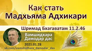 Как Стать Мадхьяма Адхикари. Шримад-бхагаватам 11.2.46. Вамшидхара Дамодар дас 2021.01.28