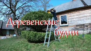 Апрель на Лесном Хуторе. Прогулка в лес.