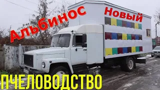 Пчеловодство / Новый пчелопавильон 49 семей / Альбинос.