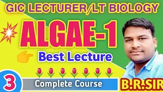 GIC Lecturer Biology || Algae Best Lecture || LT/GIC Biology Best Online classes || @Baburam Sir