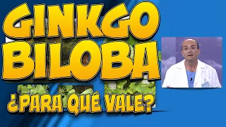 GINKGO BILOBA - ¿Para qué vale?