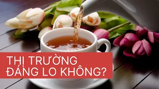 Chứng khoán hôm nay | Điểm mua cổ phiếu: Thị trường đáng lo không?