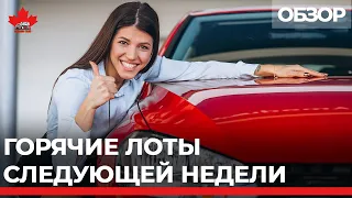 Copart, Impactauto, дилеры - обзор  лотов  на неделю с 25.01.2021. Авто из Канады. Canada Cars.