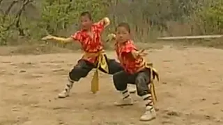 Shaolin Kung Fu: Tiger & Dragon fighting techniques