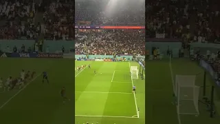 Cristiano Ronaldo Penalty Goal to ghana on Fan camera