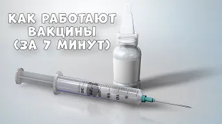 Как работают вакцины (за 7 минут)
