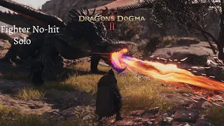 [Dragon's Dogma 2] Drake battle | Fighter solo w/Pawn buffs | No-hit