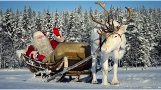 Reindeer interview of Santa Claus 🦌🎅 Father Christmas in Lapland Finland message