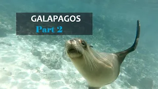 Galapagos Part 2: Santa Cruz & Isabela