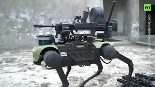 Chinese military robot dog in combat, its a scarily future where you will be fighting robots