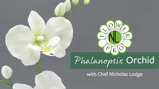 Phalanopsis (Moth) Orchid | Make Flower Pro Ultimate Orchids For Cakes & Crafts Part 5