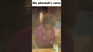 the pharaohs curse #shorts #memes #thepharaohs #curse