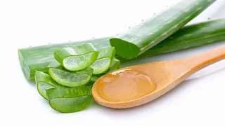 Aloe vera: přírodní léčitel v domácí lékárně