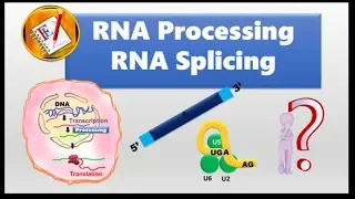 RNA splicing and Spliceosome