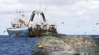 Big Net fishing, Trawler fishing in the Sea - Factory Processing on a frozen fishing boat #03