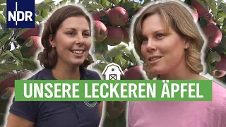 Apfelernte mit Herz und Hand | Die Nordreportage | NDR