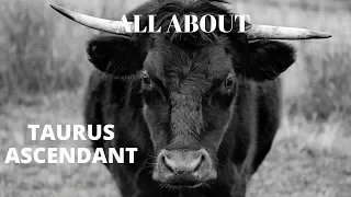 ALL ABOUT TAURUS ASCENDANT/ TAURUS ZODIAC SIGN/ TAURUS LIFE-PATH/ TAURUS PERSONALITY