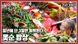 [한국인의밥상★풀버전] 물 맑고, 땅이 좋지 않으면 함부로 자라지 않는 예민한 산나물! “무서워서 못 먹나, 없어서 못 먹지 ‘옻순’” (KBS 20140605 방송)