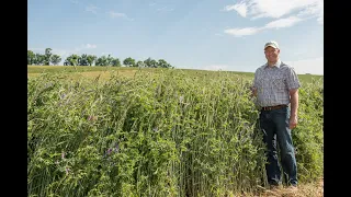 Webinar: Using Cover-Cropped Organic No-Till Systems to Improve Soil Health & Nutrient Management